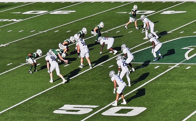 在他执掌下 在他执掌下