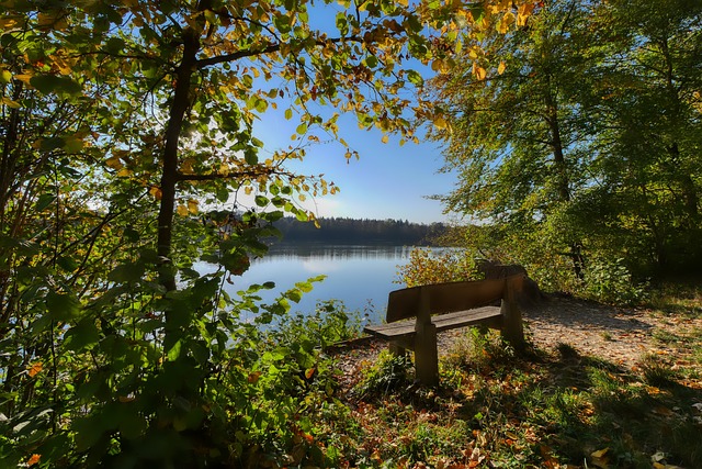 美国在高科 美国在高科