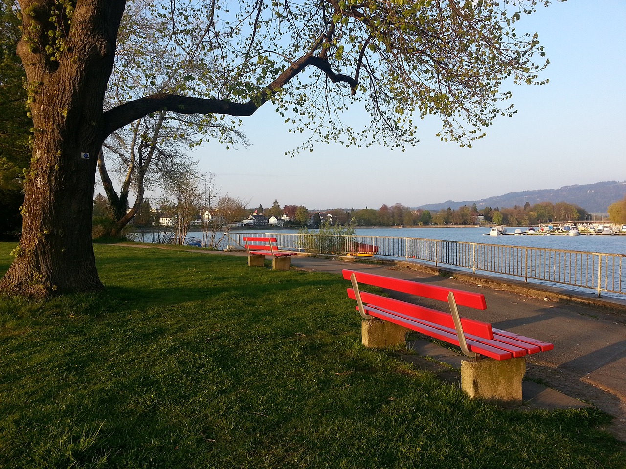 一前一后 一前一后