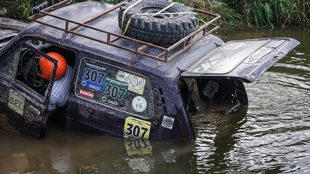 捉比赛中的 捉比赛中的