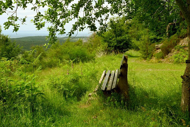 根據球隊的 根據球隊的