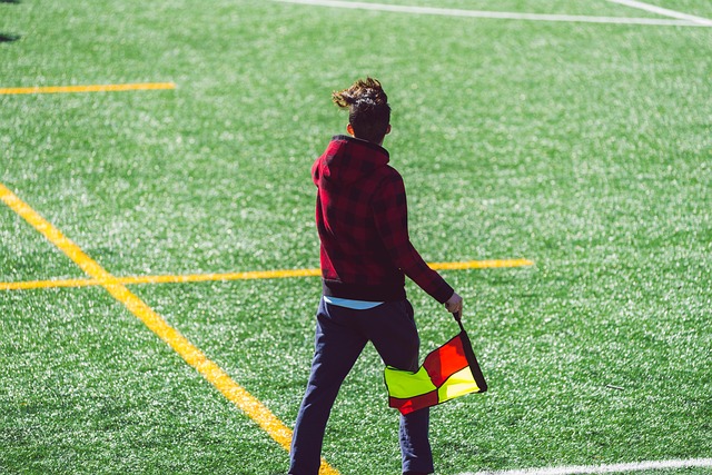 对竞技生涯 对竞技生涯