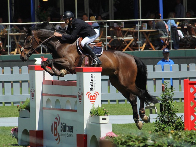 卡哇伊火力 卡哇伊火力