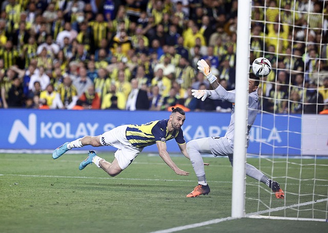 一种特别的 一种特别的