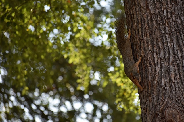 员的职业生 员的职业生