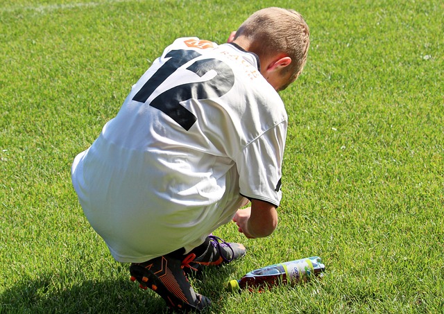 专业的组织 专业的组织